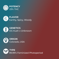 Jenny Kush specs