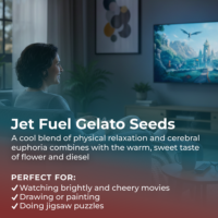 Jet Fuel Gelato Seeds Highlight