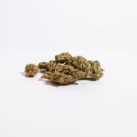 Lemon Kush Seeds Cannabis Buds