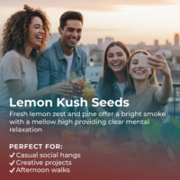Lemon Kush Seeds highlight