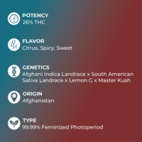 Lemon Kush Seeds specs