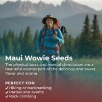 Maui-Wowie-highlight