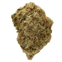 Green Orange Cookies cannabis bud with orange hairs