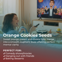 Orange Cookies highlight