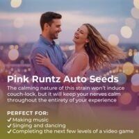 Pink-Runtz-Auto-highlight