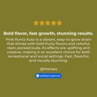 Pink-Runtz-Auto-review