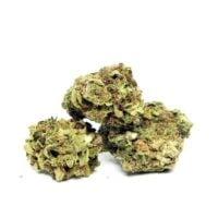 Close-up of cannabis buds stacked