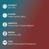 Purple Kush Seeds Specs