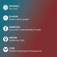 Purple-Punch-feature