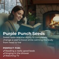 Purple-Punch-highlight