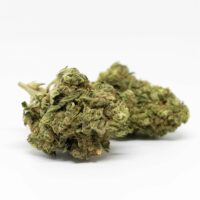 Skywalker-OG-bud-gallery