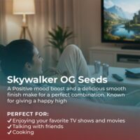 Skywalker-OG-highlight