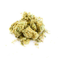 Close-up of green Sour Diesel cannabis buds