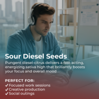 Sour Diesel Seeds highlight