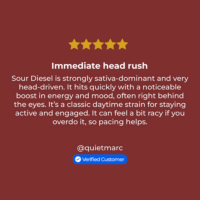 Sour Diesel Seeds review