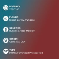 Stardawg-feature