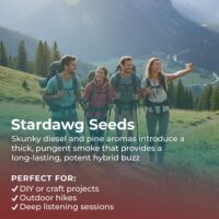 Stardawg-highlight