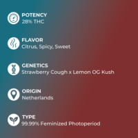 Strawberry Lemonade Seeds Specs