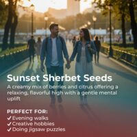 Sunset-Sherbet-highlight
