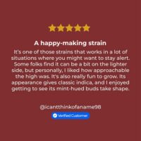Sunset-Sherbet-review