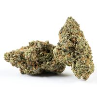 Super-Lemon-Haze-bud-gallery
