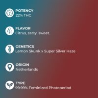 Super-Lemon-Haze-feature