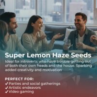 Super-Lemon-Haze-highlight