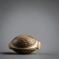 Super-Lemon-Haze-seed-closeup