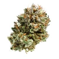 Super Sour Diesel Cannabis Bud