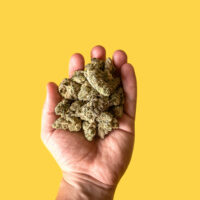 Fire OG Cannabis buds