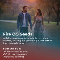 Fire OG Cannabis highlight