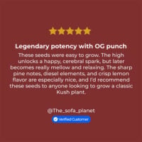 Fire OG Cannabis review