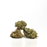 Three green Jealousy strain cannabis buds stacked together