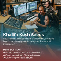 Khalifa kush cannabis highlight