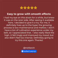 mendo breath cannabis review