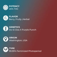slurricane cannabis specs