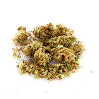 Animal Mints Cannabis Bud