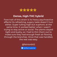 Animal Mints review