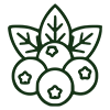 berries accordion icon