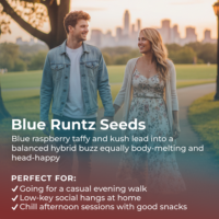 Blue Runtz Feminized Seeds highlight