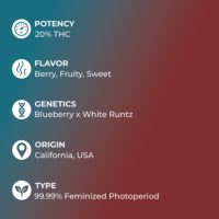 Blue Runtz Feminized Seeds specs