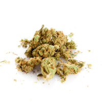 Blueberry Gelato Strain Cannabis Bud