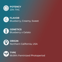 Blueberry Gelato Strain specs