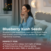 Blueberry Kush highlight