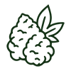 marijuana bud accordion icon