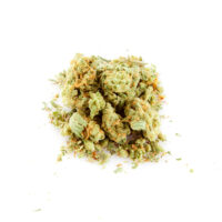 Cinderella 99 Cannabis Bud