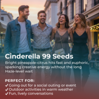 Cinderella 99 highlight