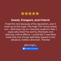 GDFTH review