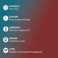 GDFTH specs