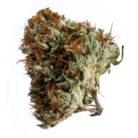 Godfather Og Seeds Cannabis Bud